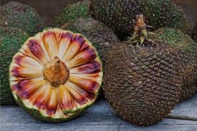 O povo quer saber…